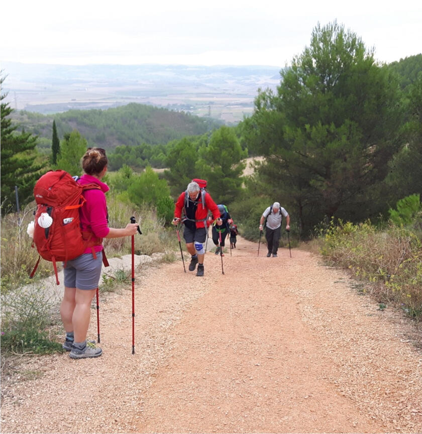 Camino with ease image 1
