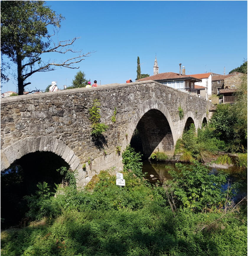 Camino with ease image 2