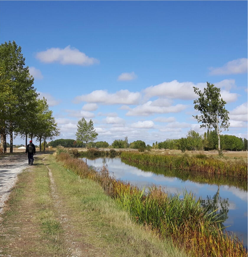 Camino with ease image 4